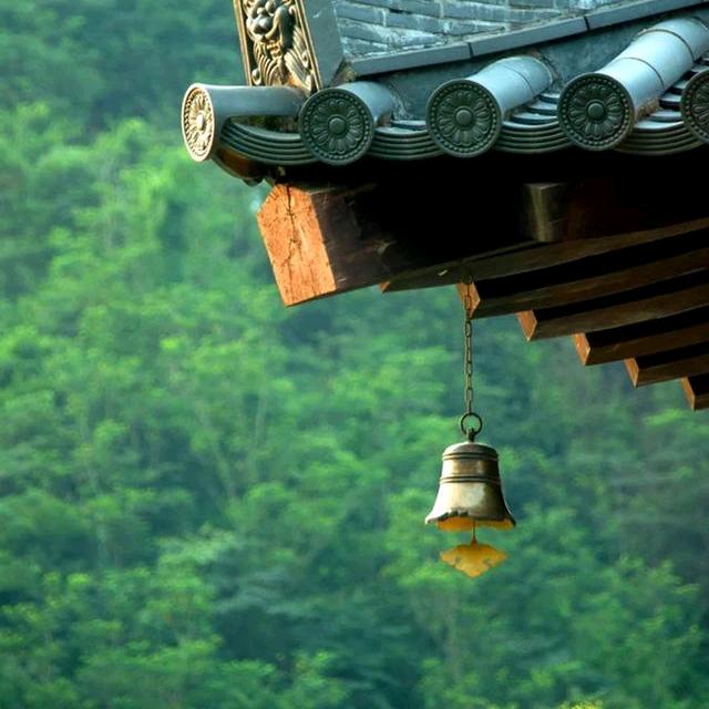 疯狂头像