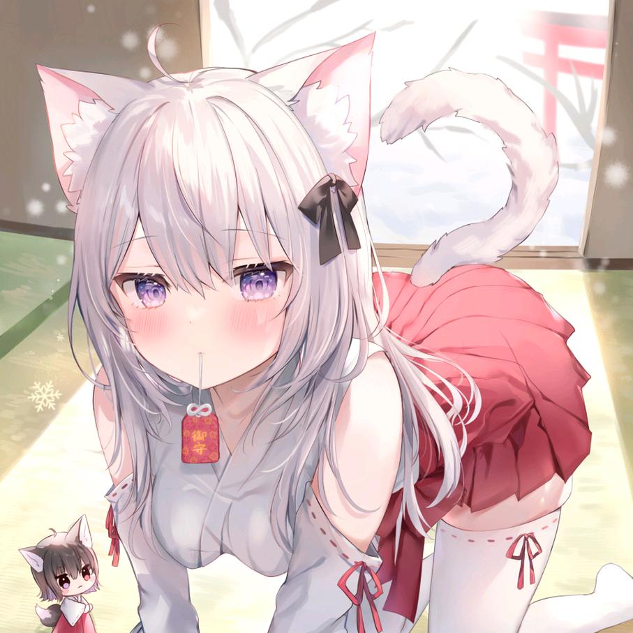 哈哈哈哈哈哈哈