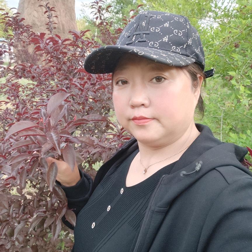 随心姐（晟图）