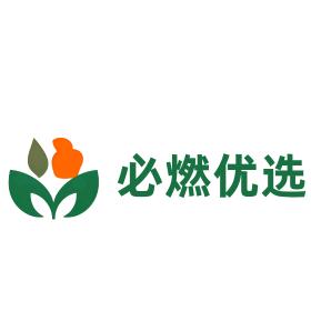 柳州必燃科技