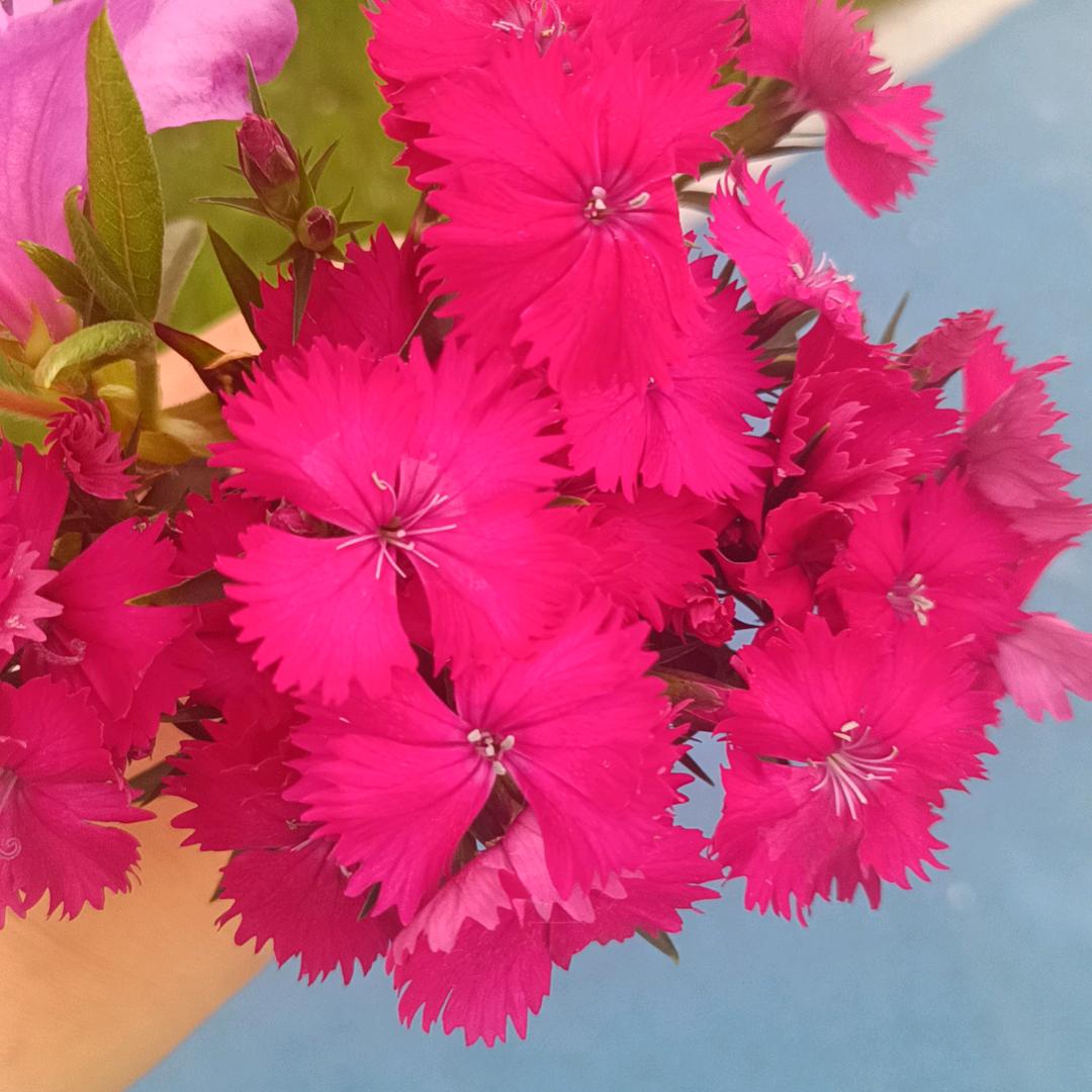 萍♥宇