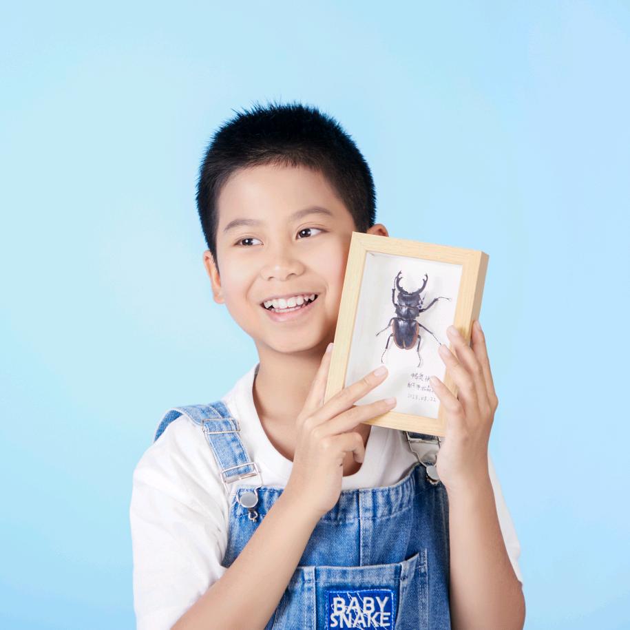 小宁的昆虫世界