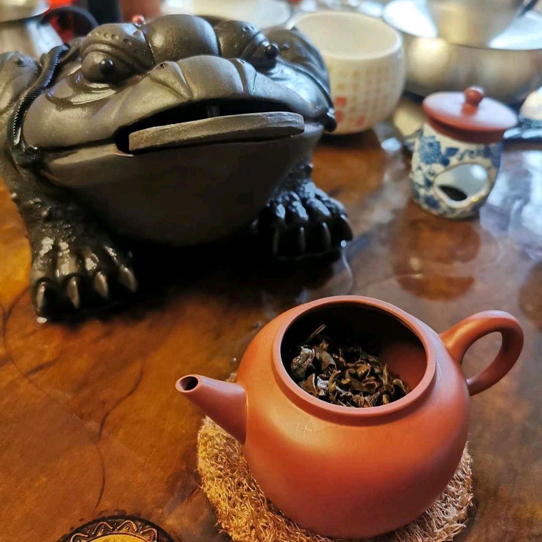 徐子鑫