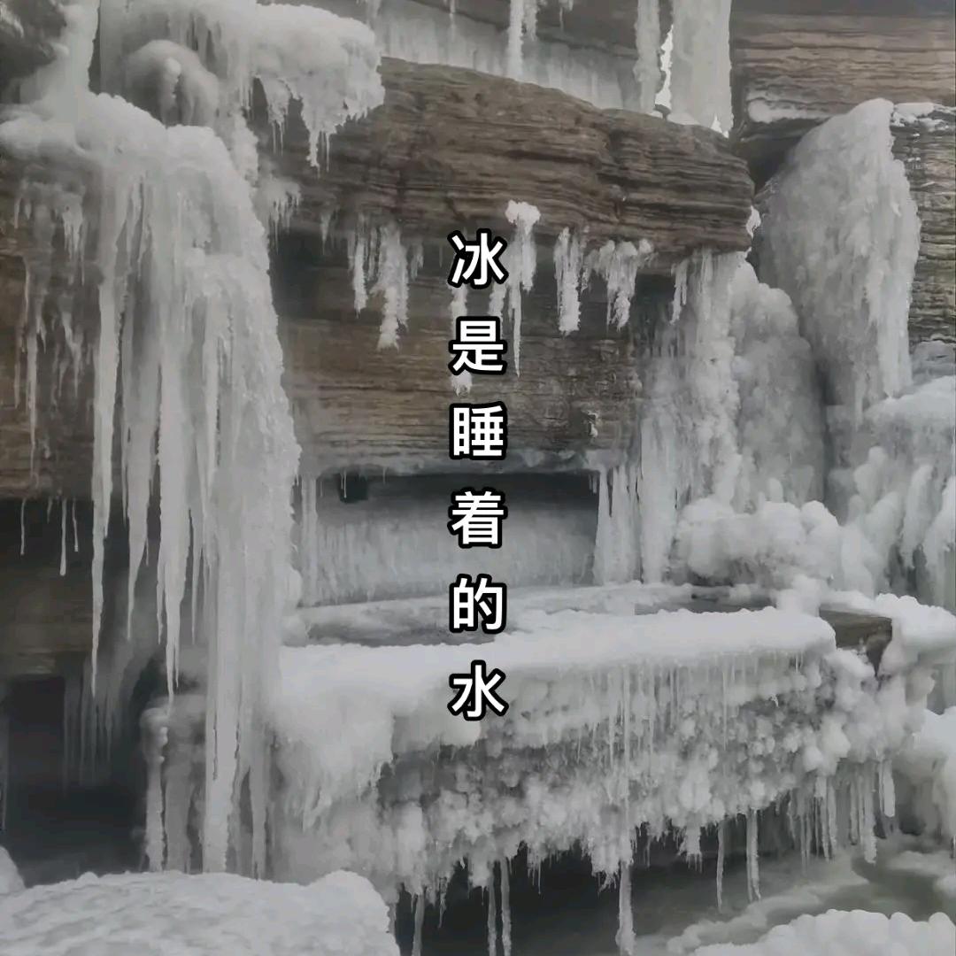 泪水中我学会了坚强