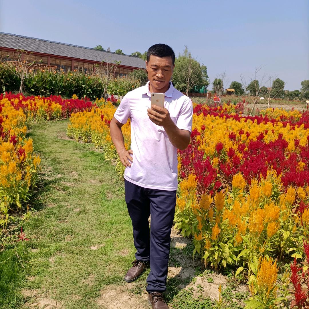 ，农村养殖