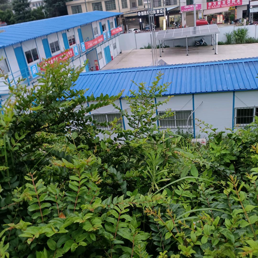 扶摇直上九万里