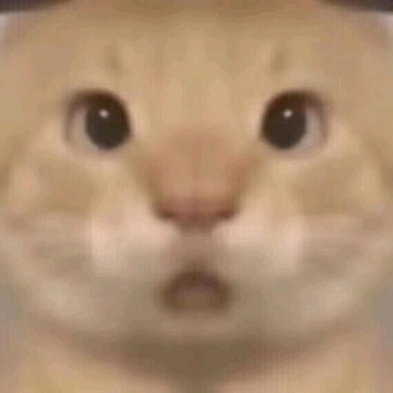 哦？