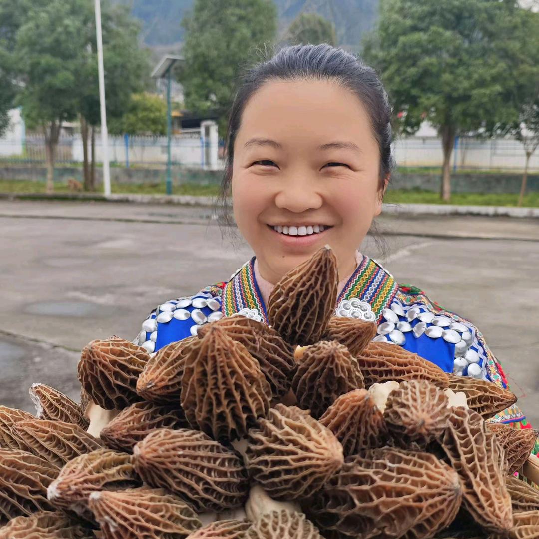 武陵山桑枝菌官方店