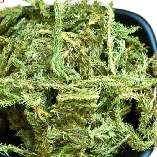 曾经的牵挂