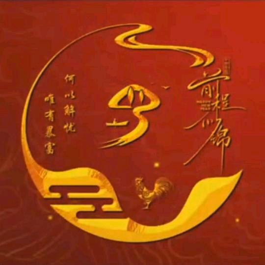 小飞龙