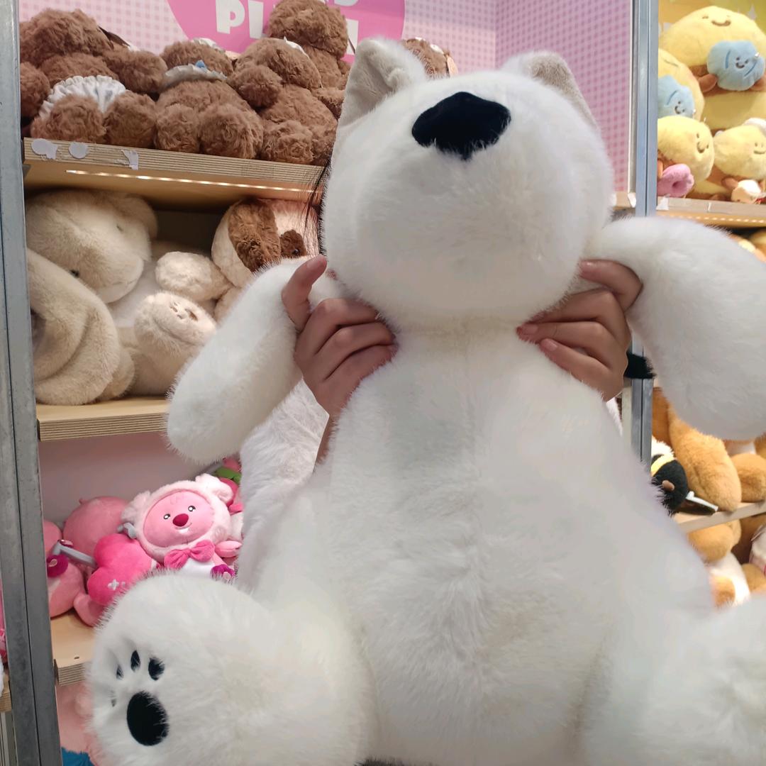 哲哲
