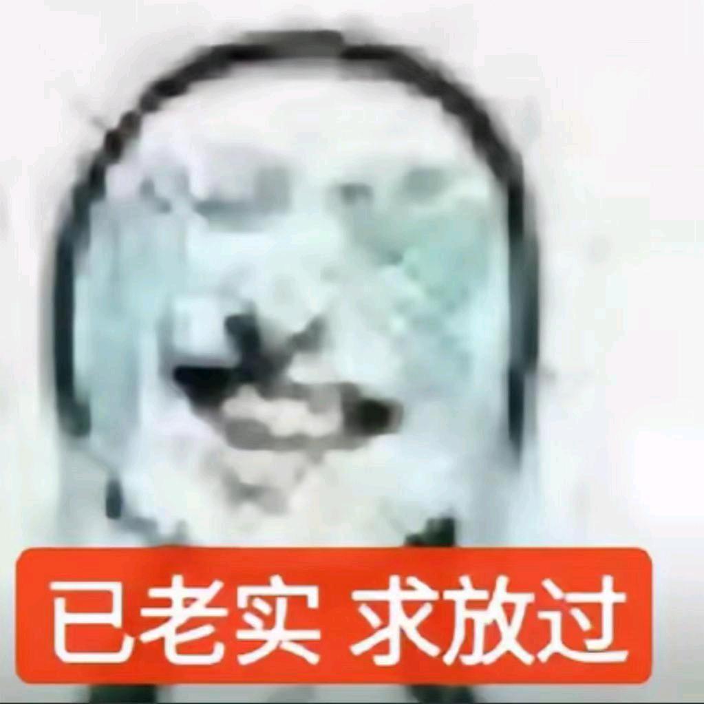 已老实求放过