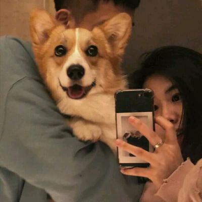 弊说话吻我