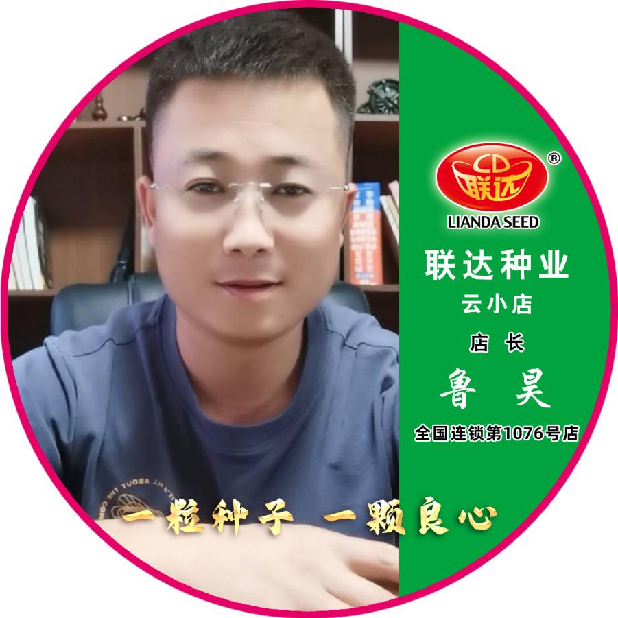 联达彰武云小店-鲁昊