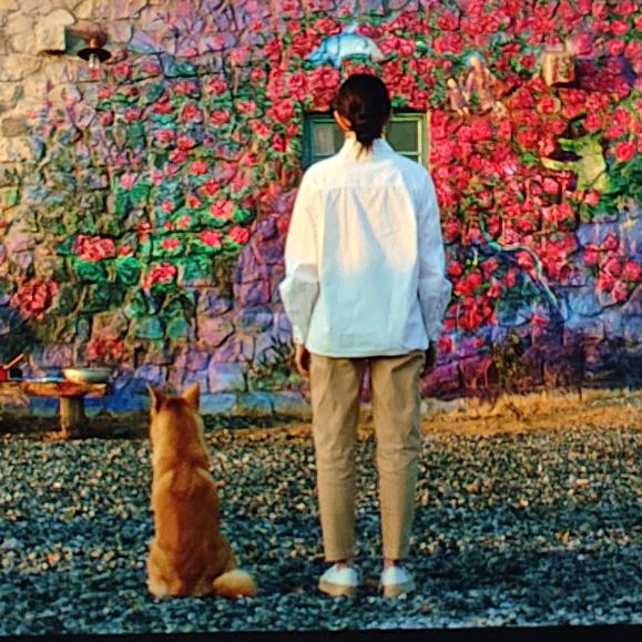 早八你对得起谁