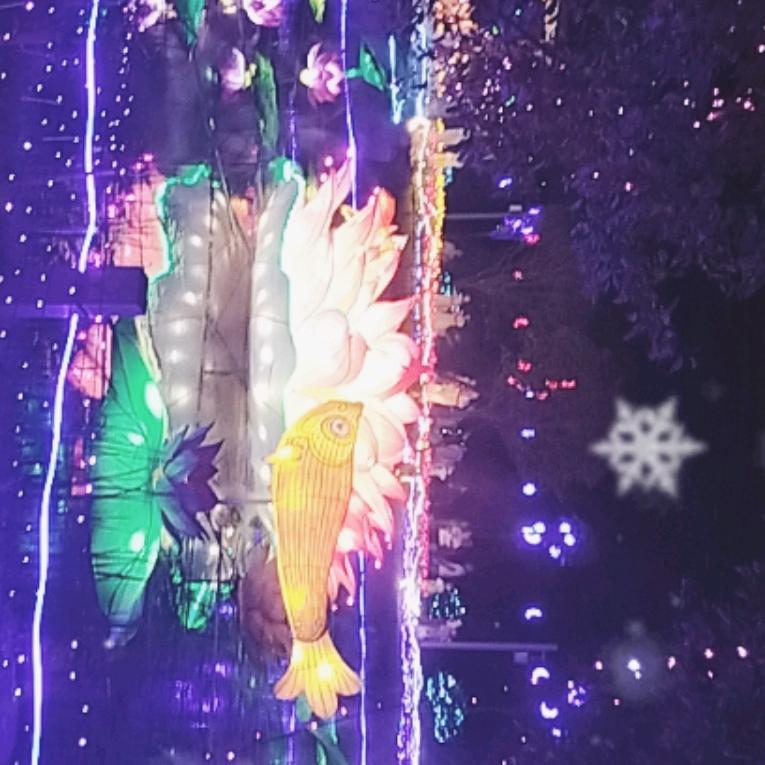 真龙🐉🐉天子