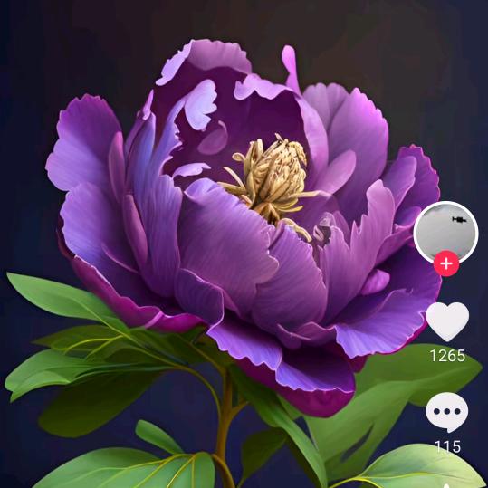 乌纹幼萨米拉西穆萨西姆乌西亚