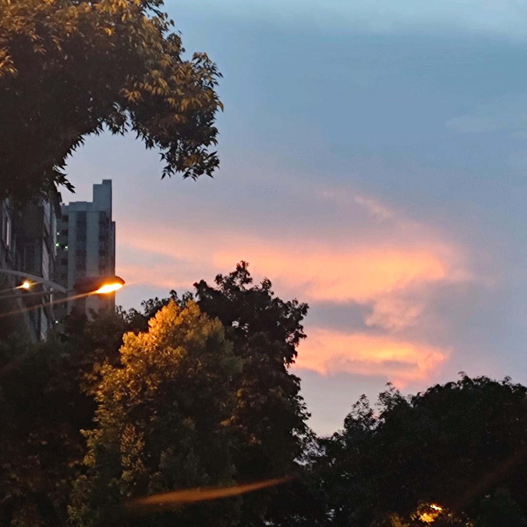明珰