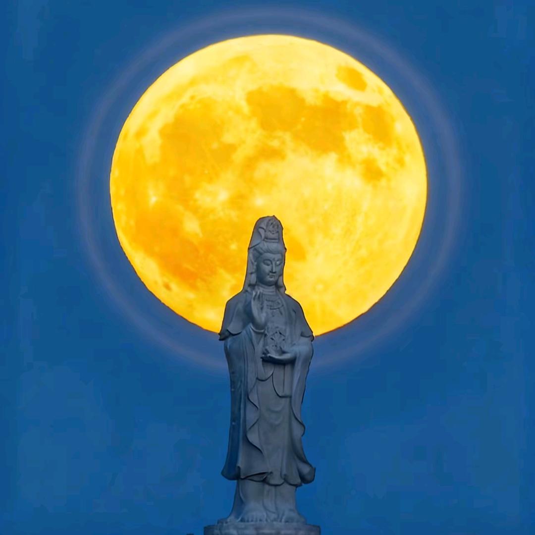 🌈宠🌝宝⭐️