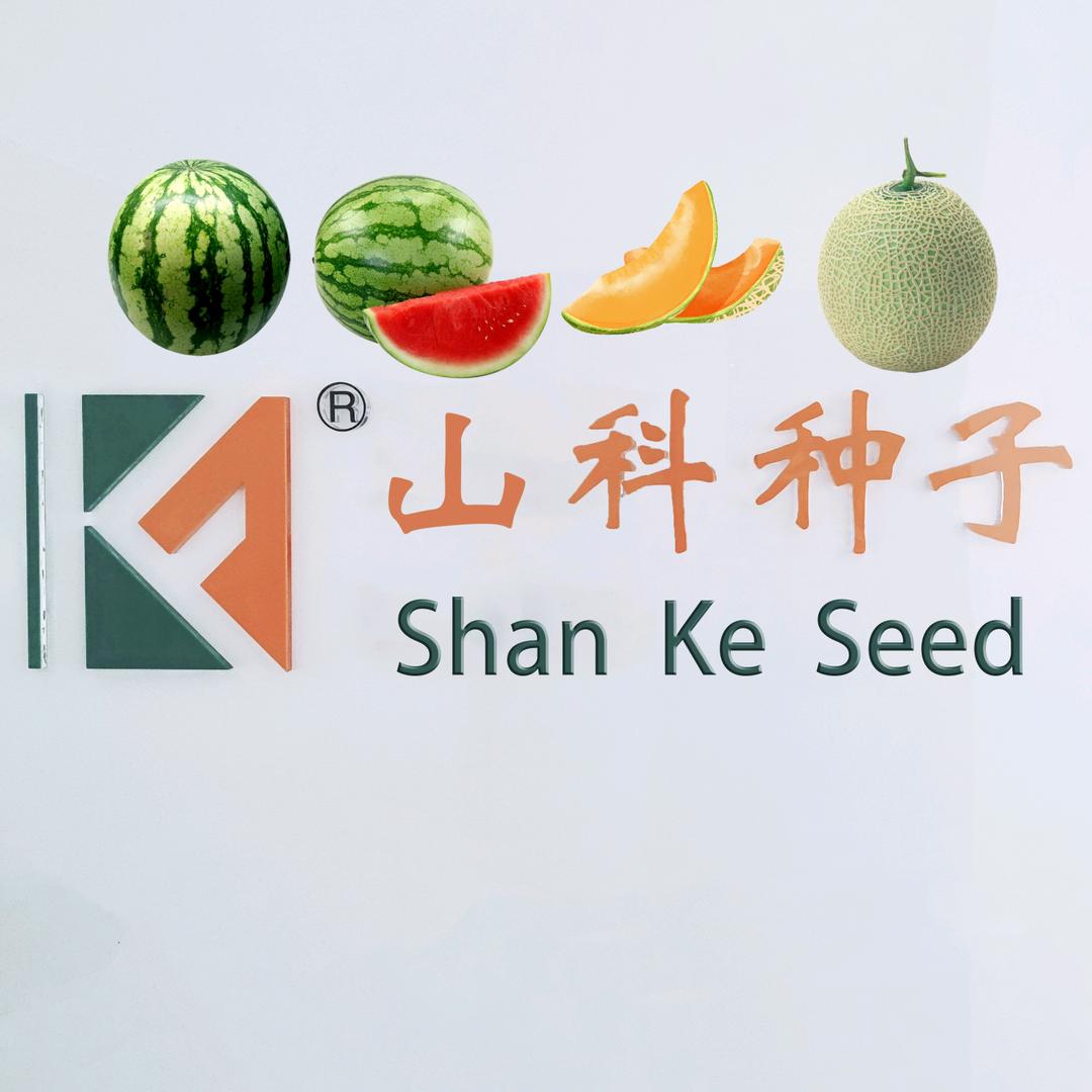 山东科丰种业（西瓜、甜瓜）种子