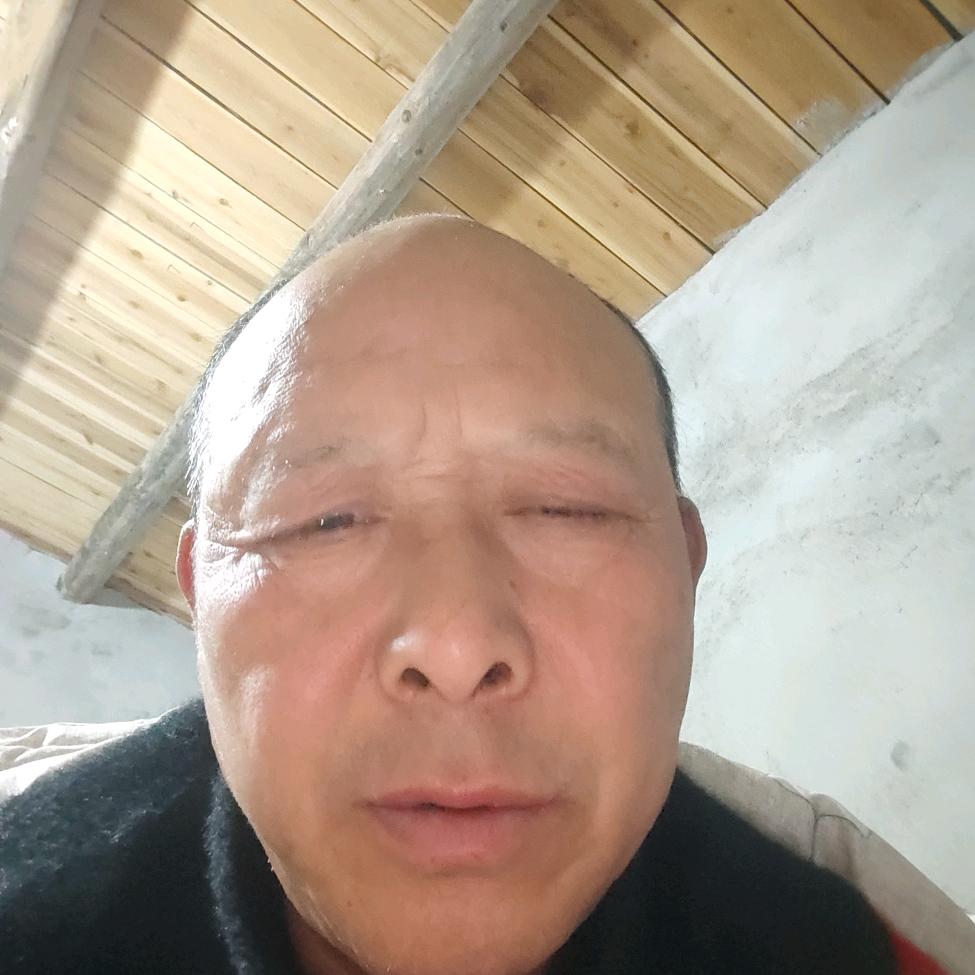 刘秀龙