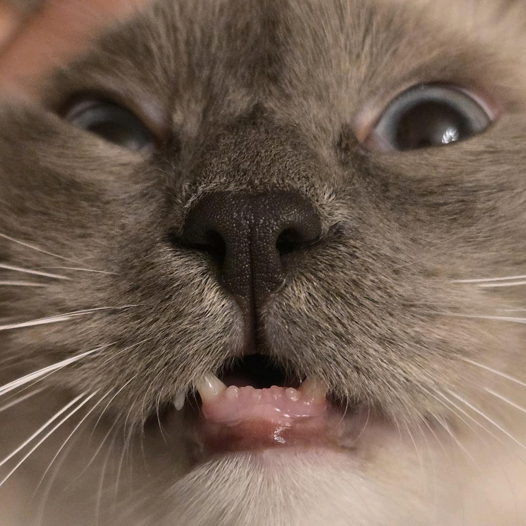 安徽省居巢区签约钓手