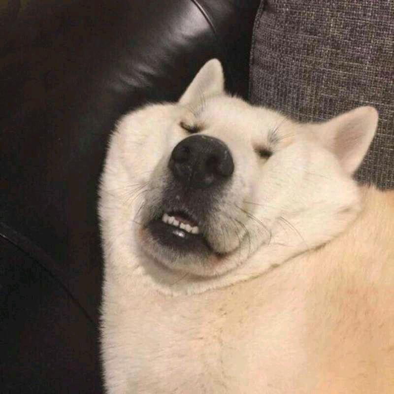 llllll