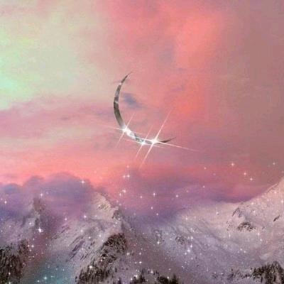 🕊꧔ꦿ᭄无声🦋꧔ꦿ᭄🕊