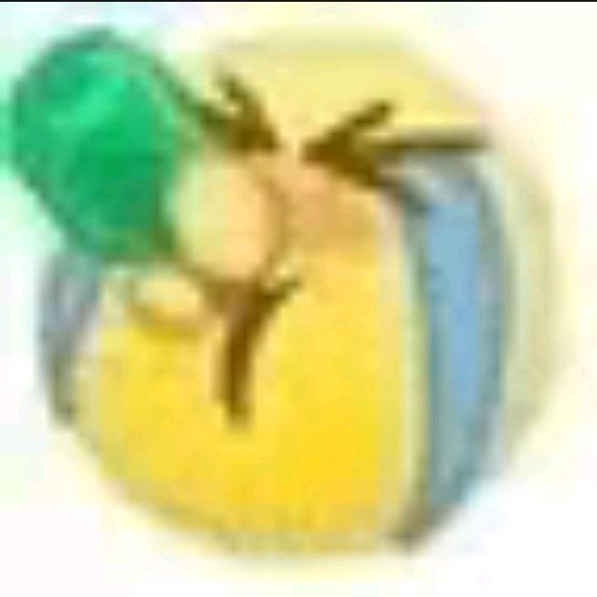 大便超人爱搅便