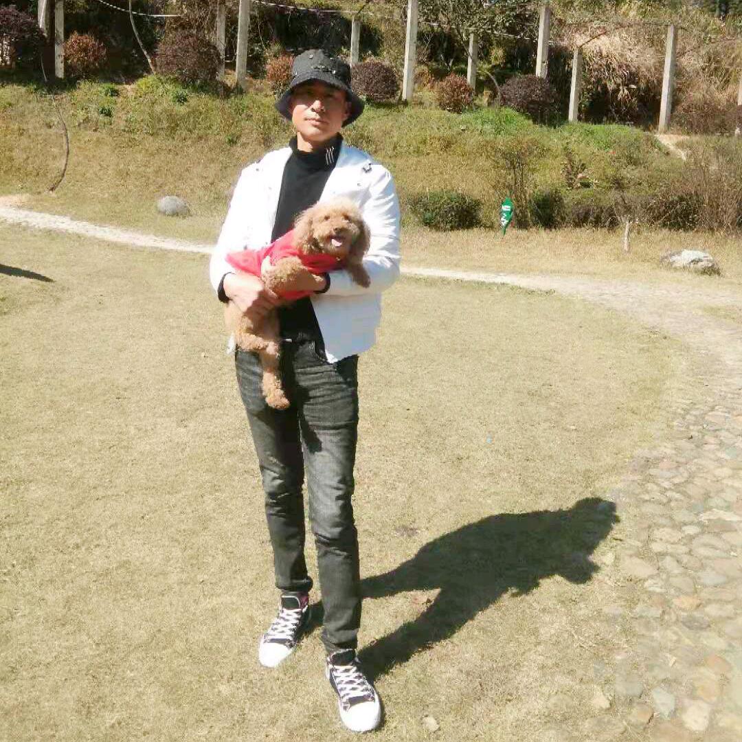 梦里水乡🐍🐍🐍🦋🦋🦑🦑