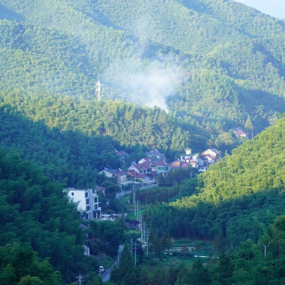 拾果哩