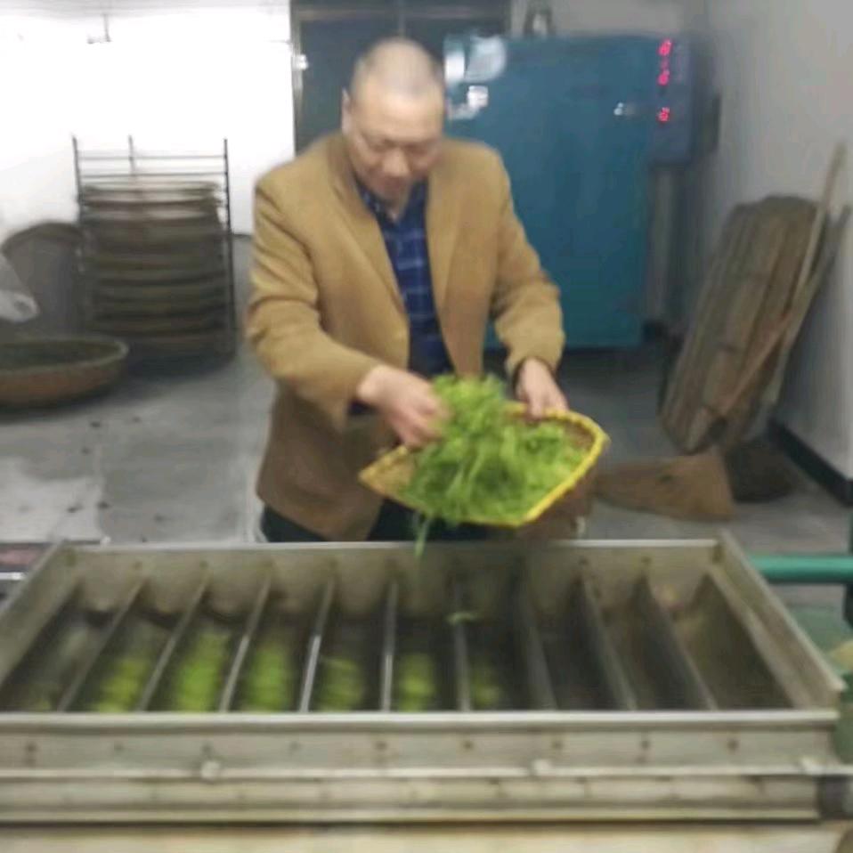 合肥市包河区青青茶园