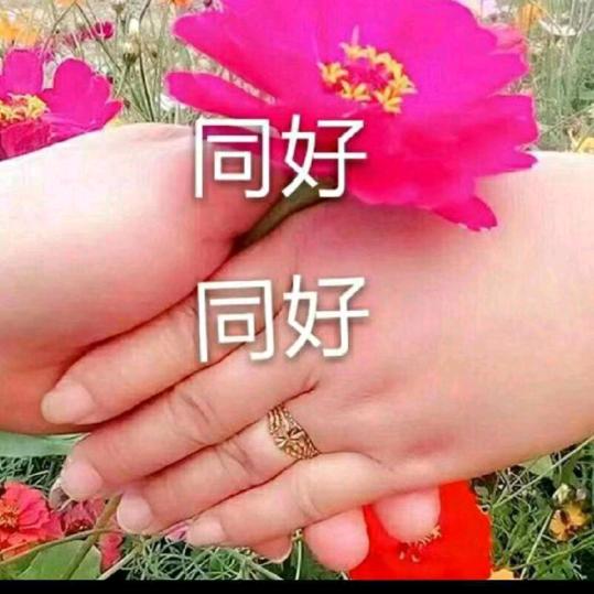 旧州姐姐杨
