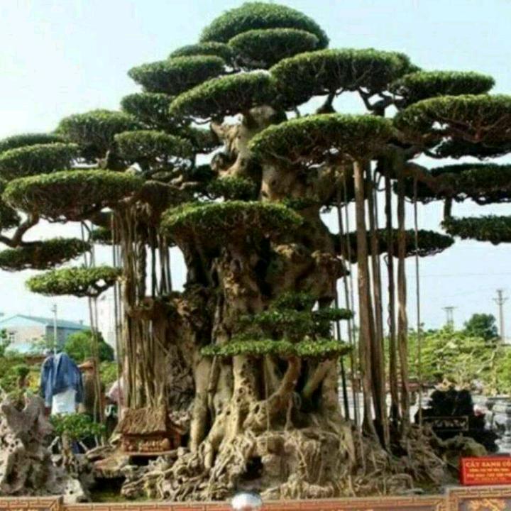 半推半就