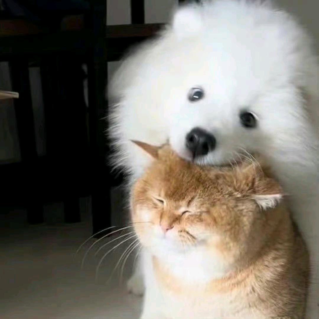 这是什么，咬一口