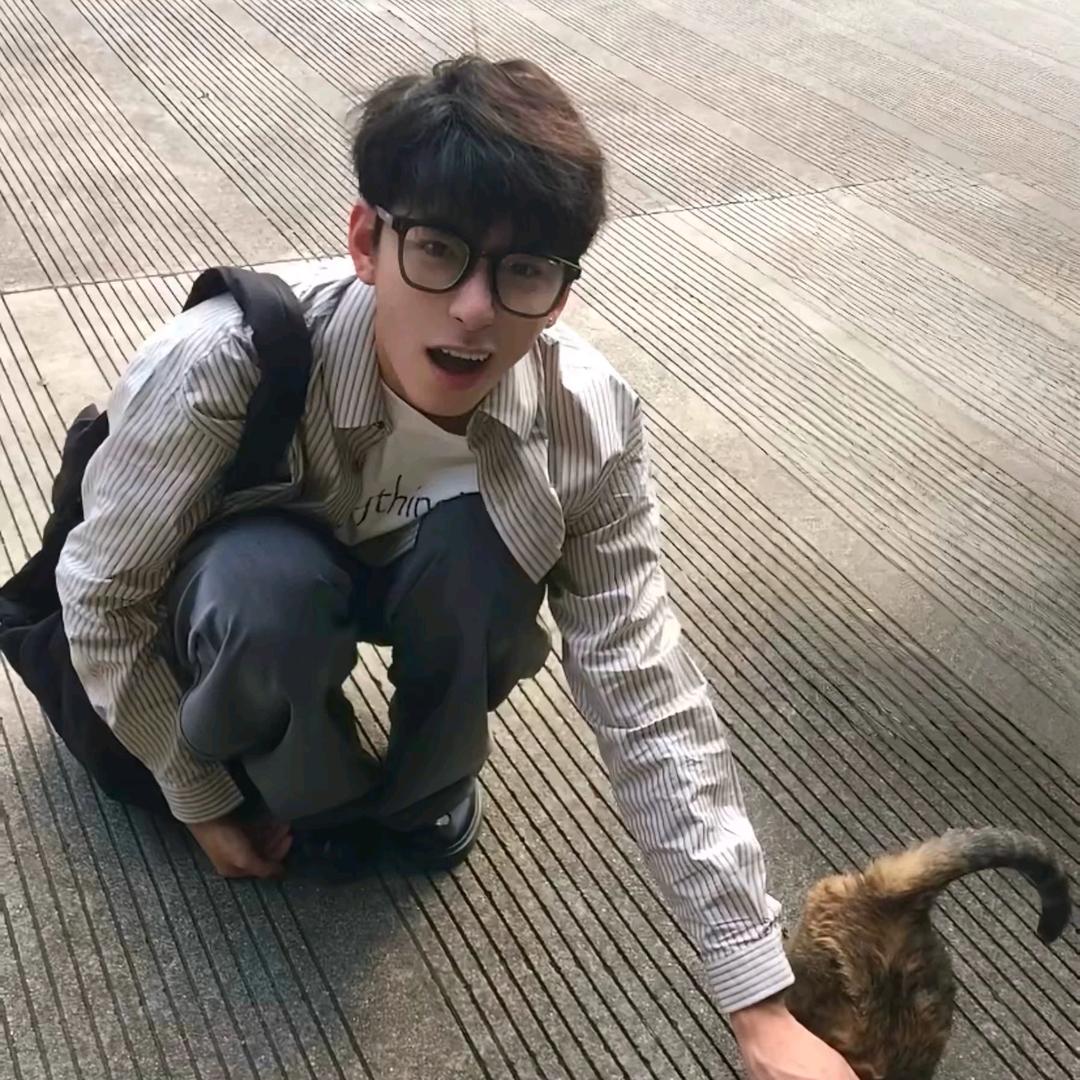 一只喵