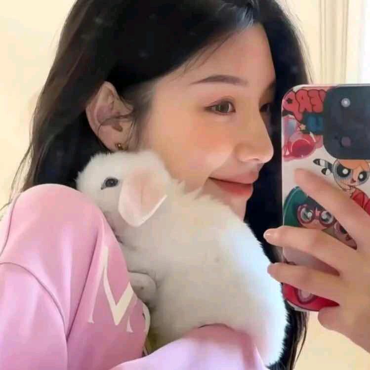 可乐与波萝