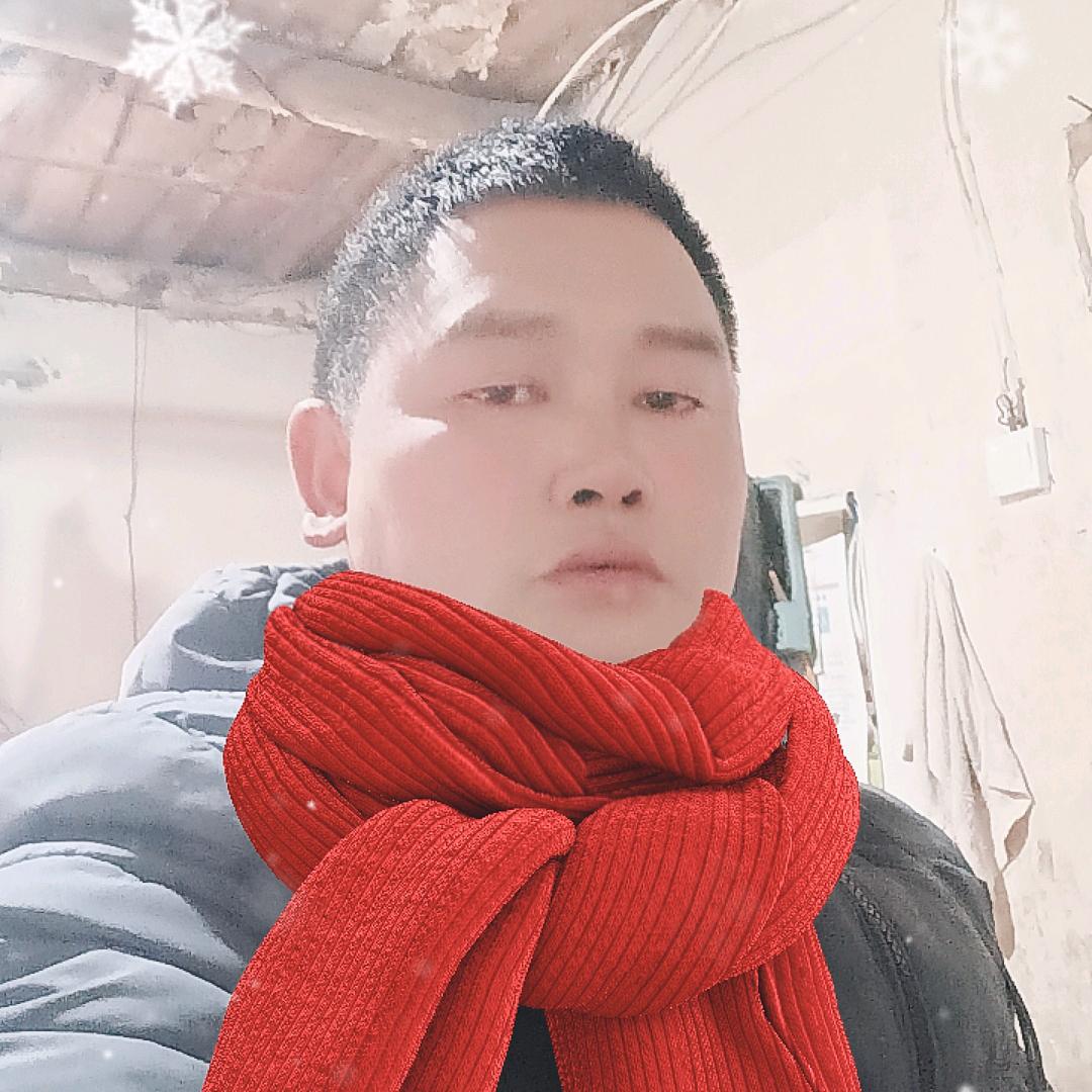 运阑赛鸽