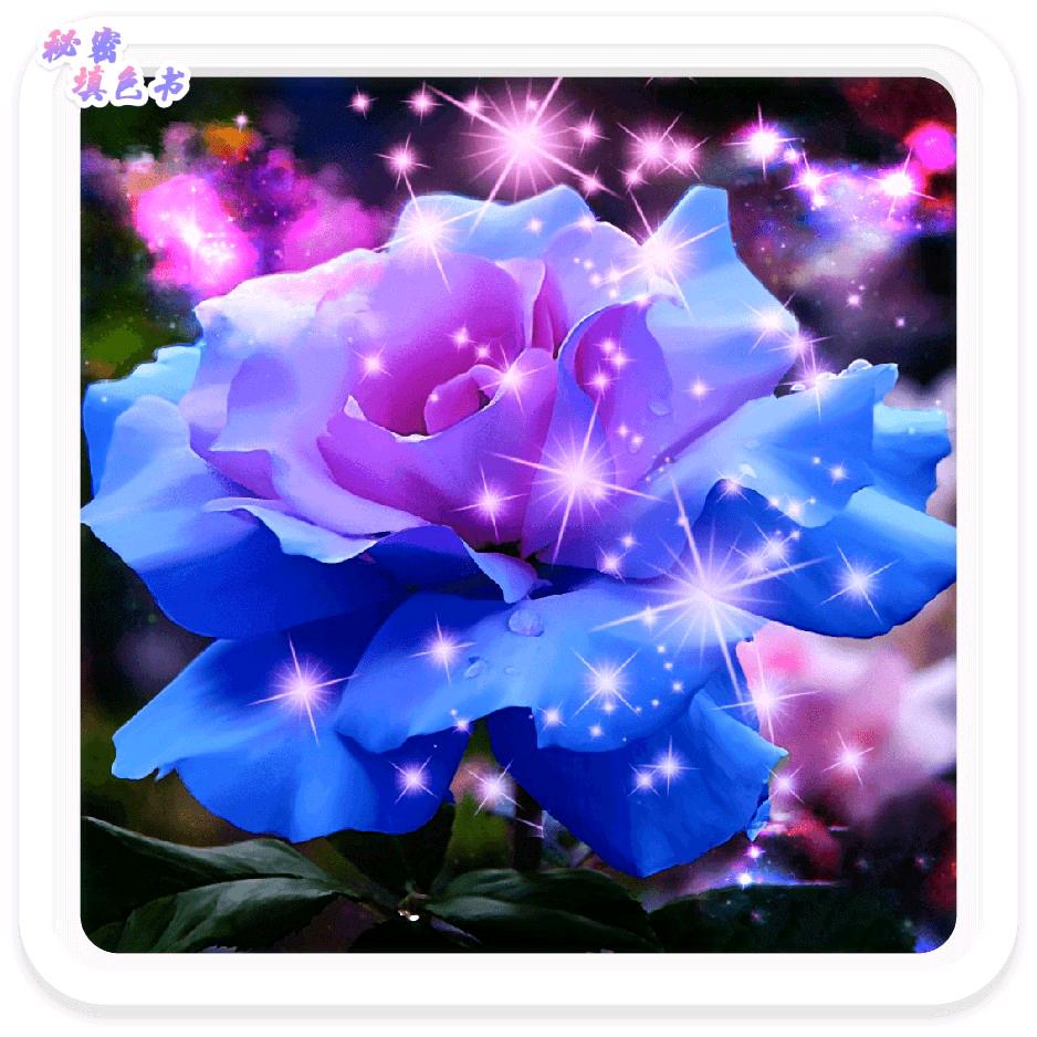 🌷🌷兰兰🌹🌹