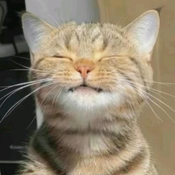 小宝