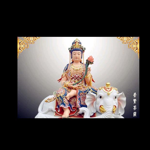 龍虎門