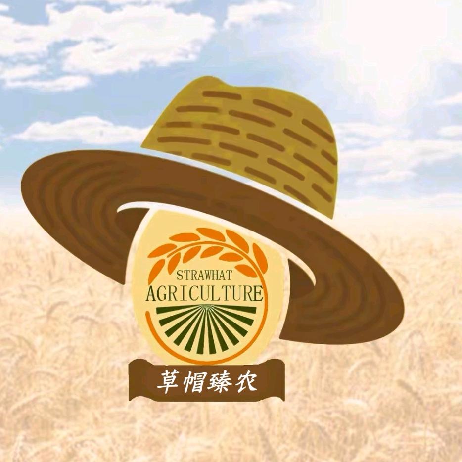 草帽臻农