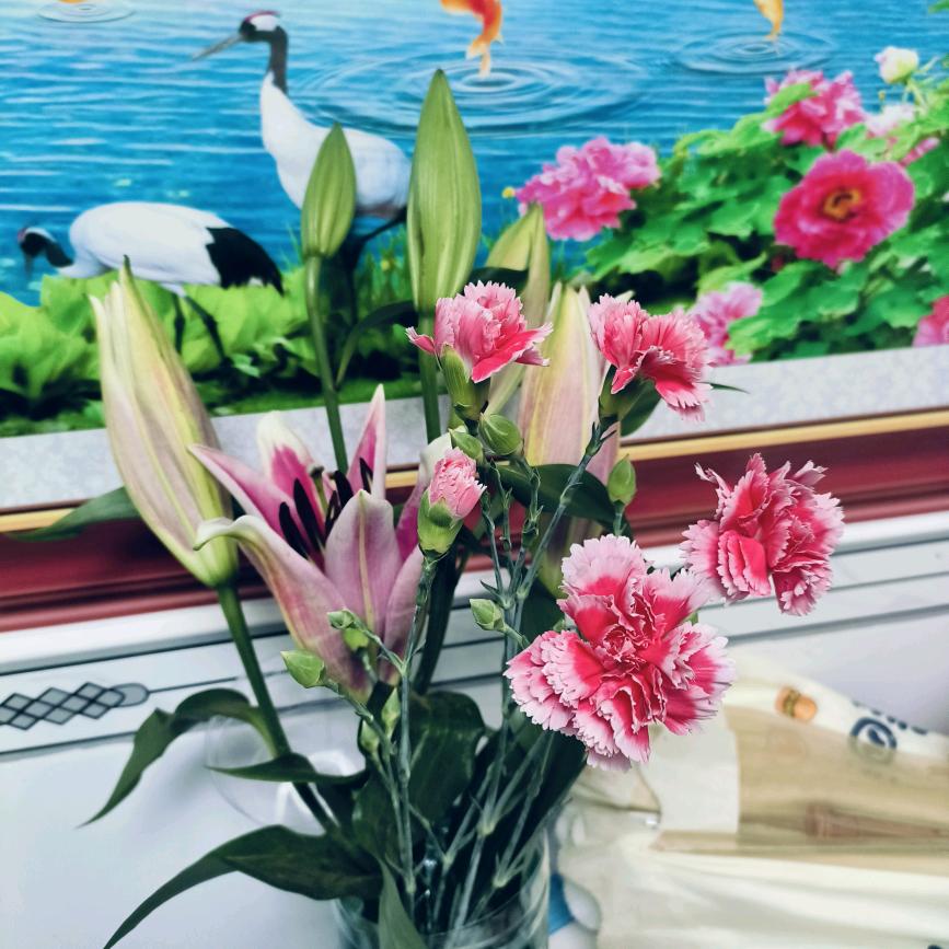 漂泊的泡沫