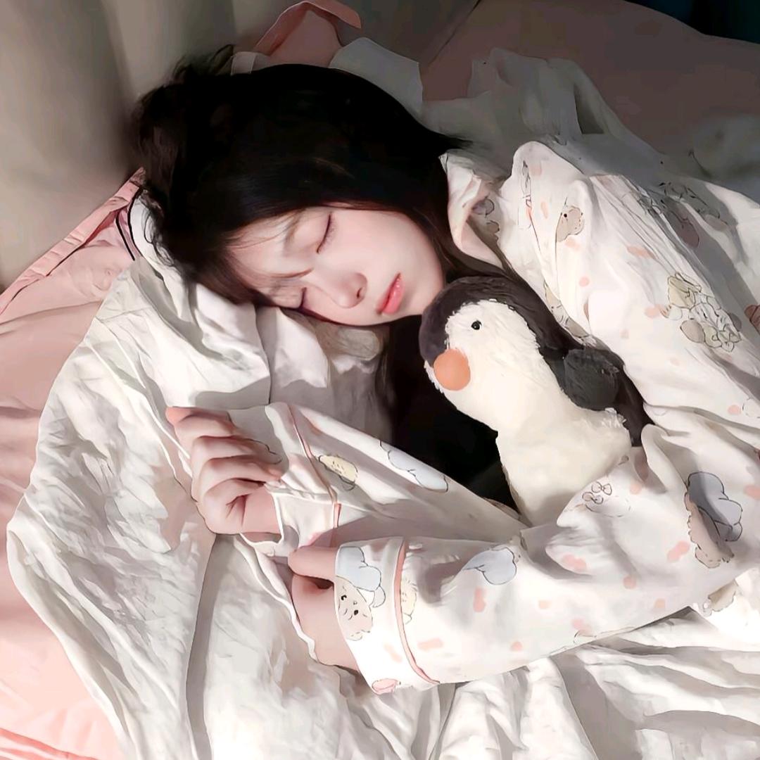 小浣熊.