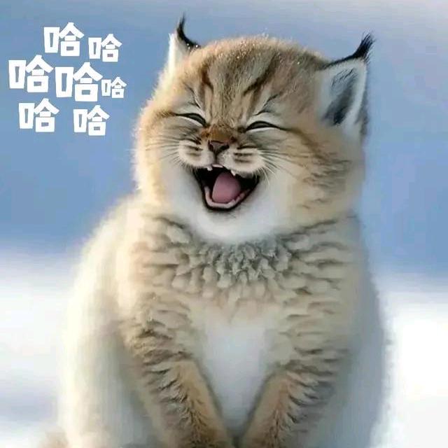Σ(ﾟ∀ﾟﾉ)ﾉ✓朱