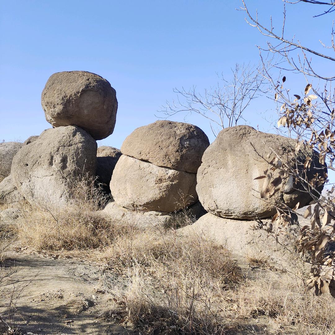 1985812196想醉的人却醉不了