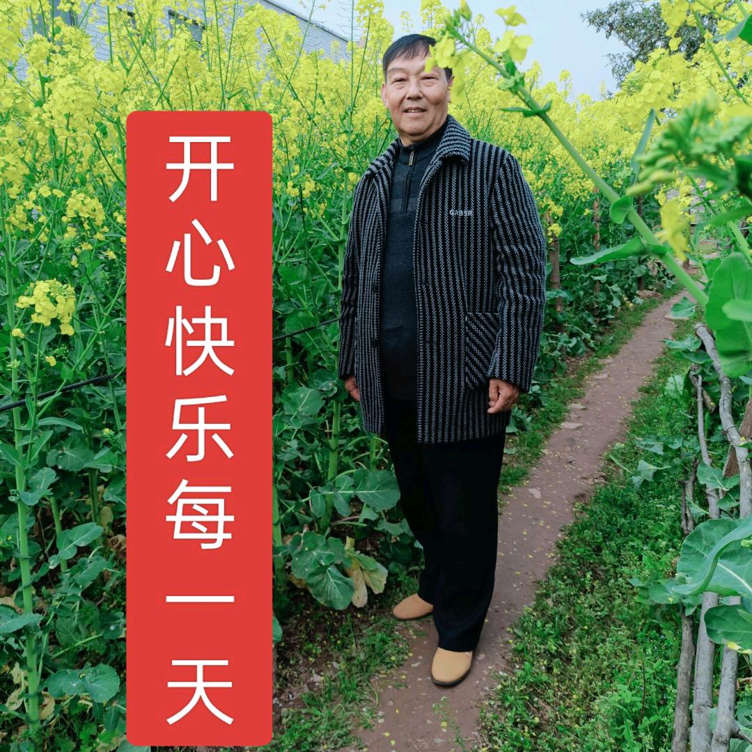鸿运来