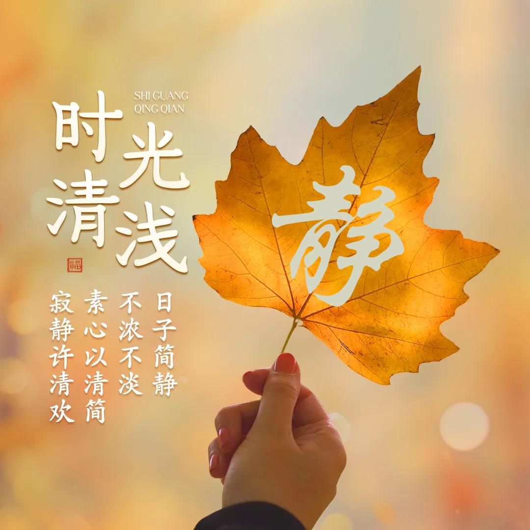 💗᭄淡然一笑ꦿᩚ࿐ᩚ