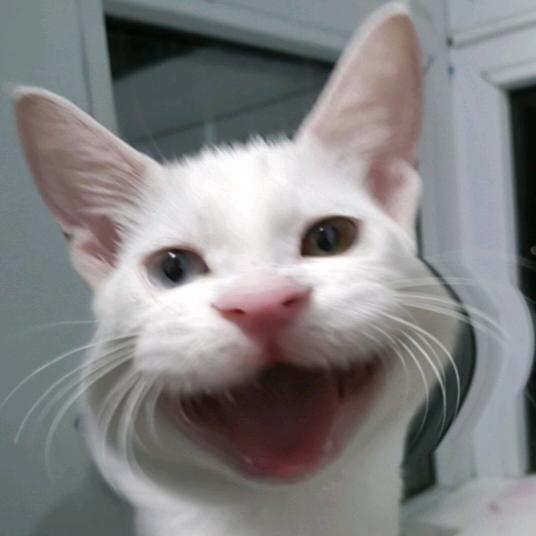 人机