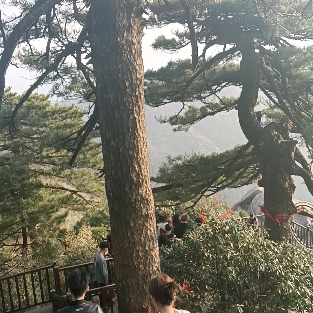 健康是福